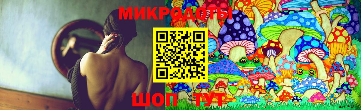 Галлюциногенные грибы Psilocybe  Псилоцибиновые грибы прущие грибы  Ртищево  Вход с VPN 