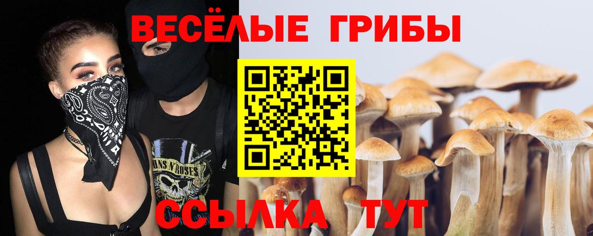 Псилоцибиновые грибы Cubensis Ртищево